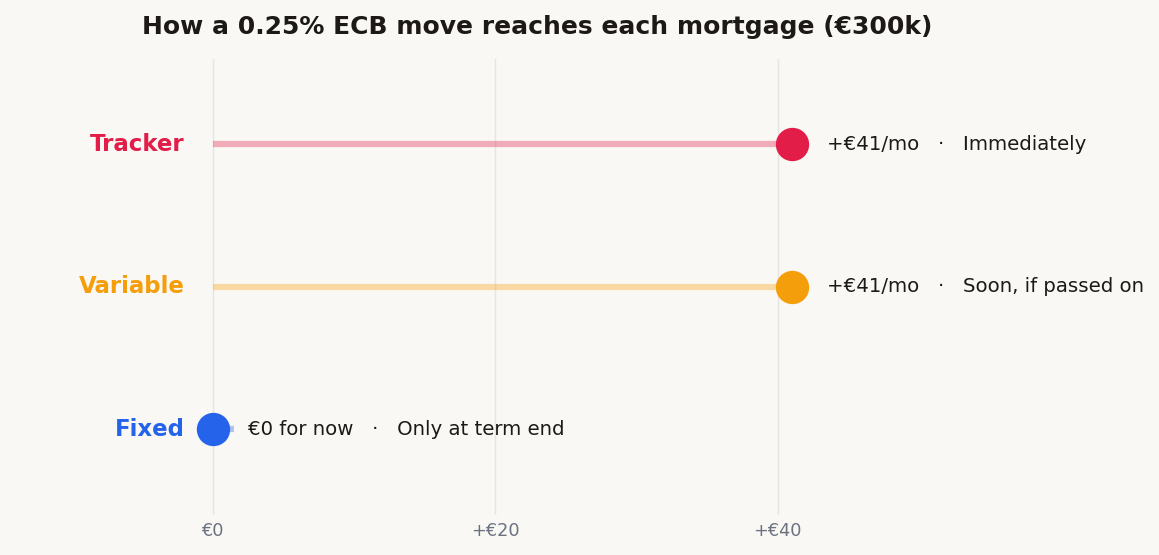 Chart of how a 0.25% ECB rise reaches each mortgage type on €300,000: a tracker and a variable rate both about €41 a month more, applied immediately versus after a lag, while a fixed rate stays at €0 until its term ends